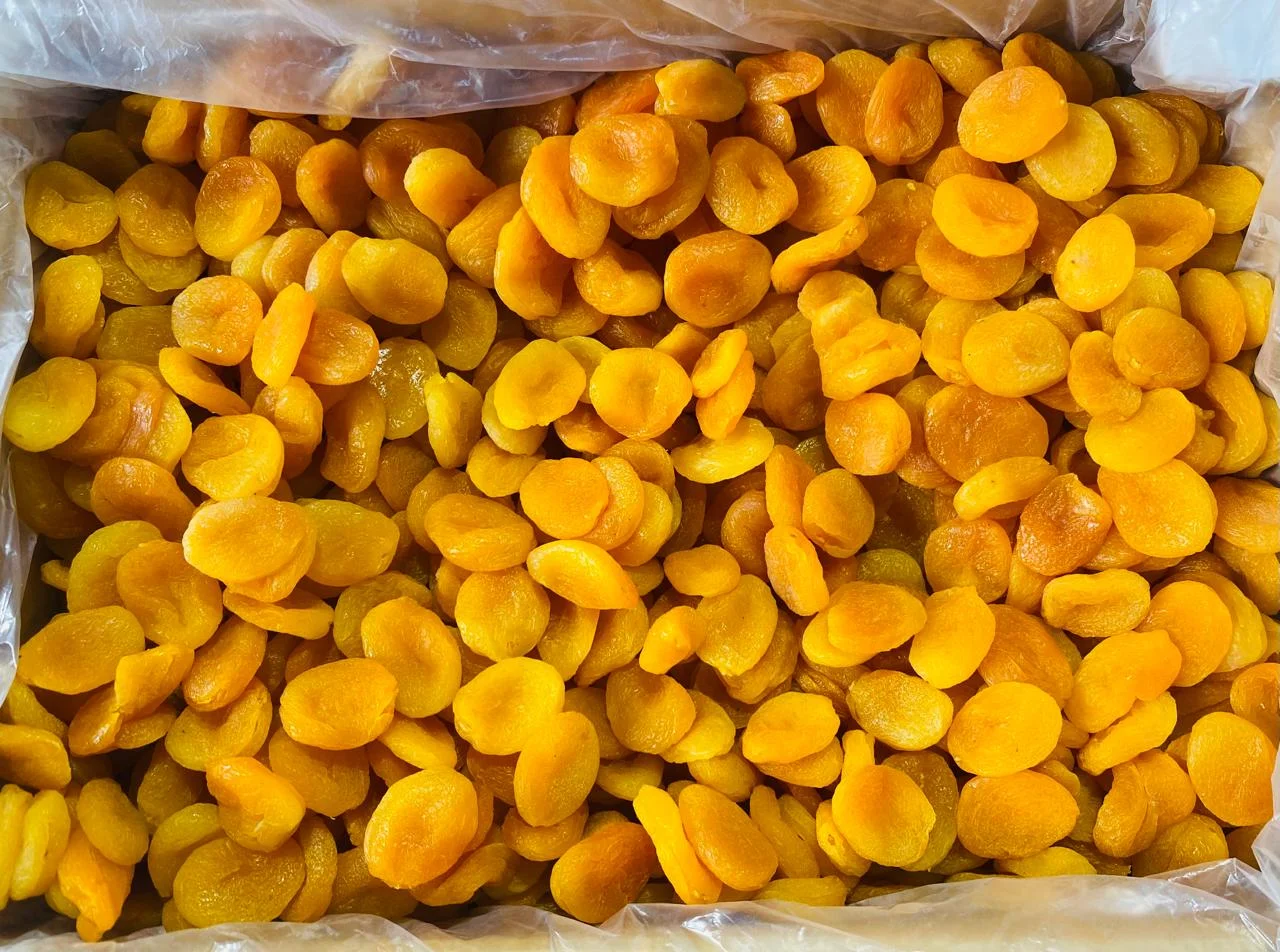 Turkel Dried Apricot 200gm Premium Dried Apricots