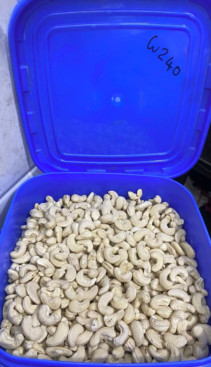 Cashew W240 10kg