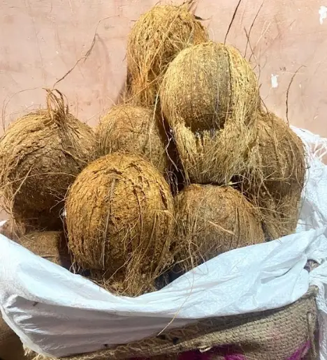 Semi Husked Coconut