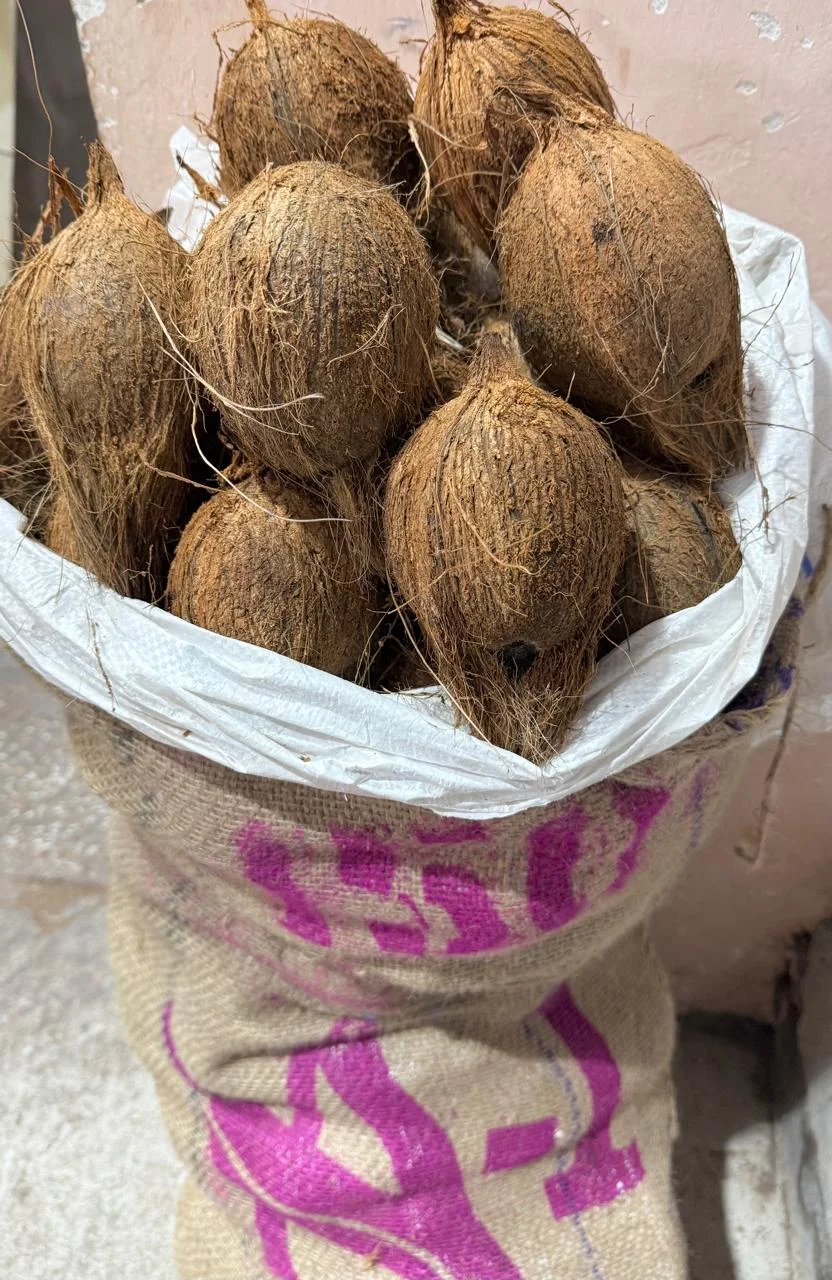 Semi Husked Coconut