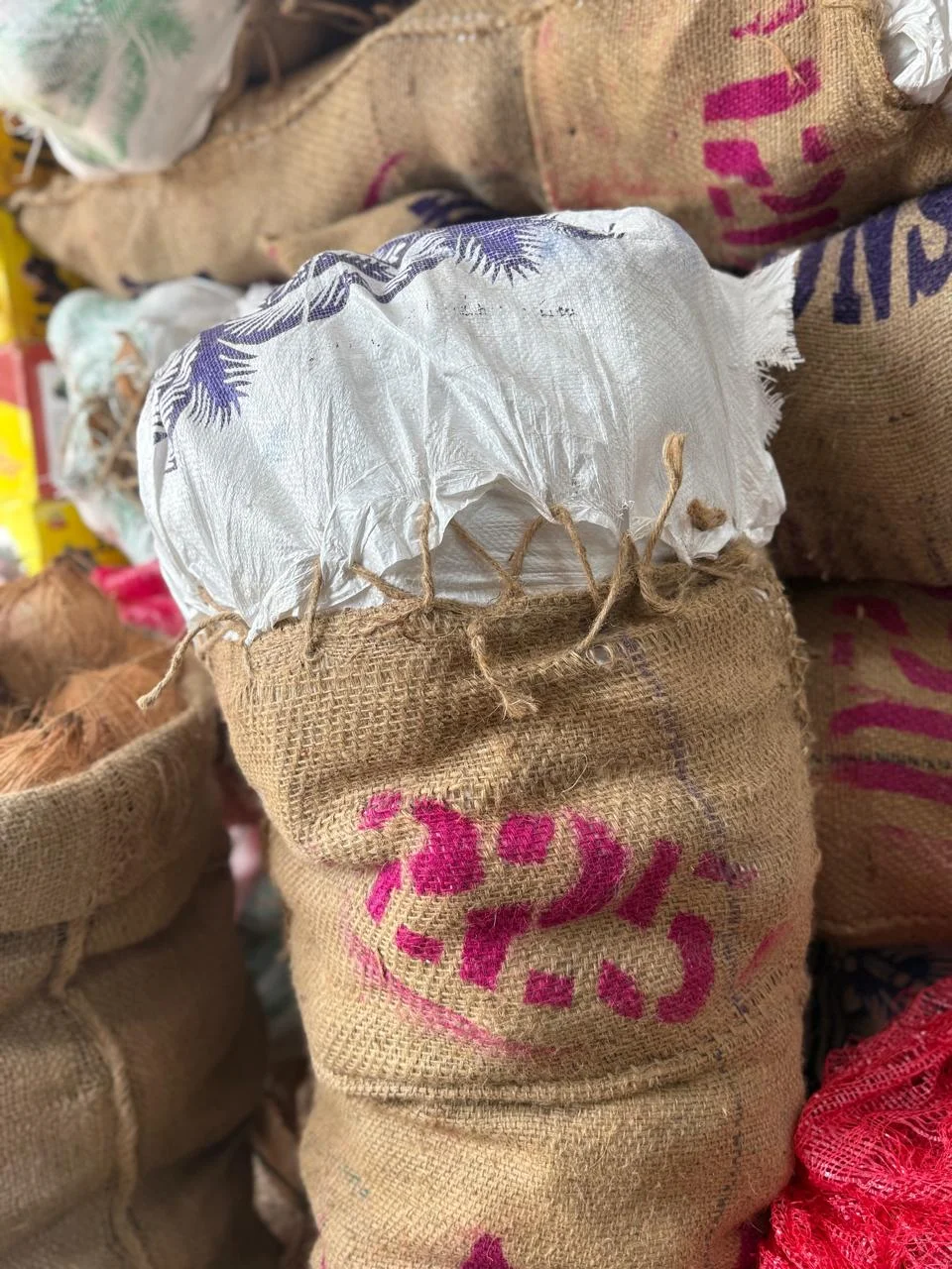 Semi Husked Coconut 225 Count A Grade Organic Coconut