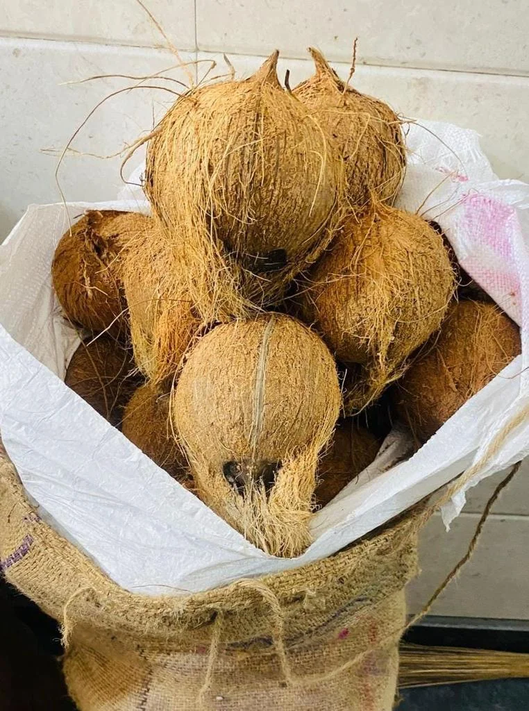 Semi Husked Coconut 85 Count A Grade Organic Coconut