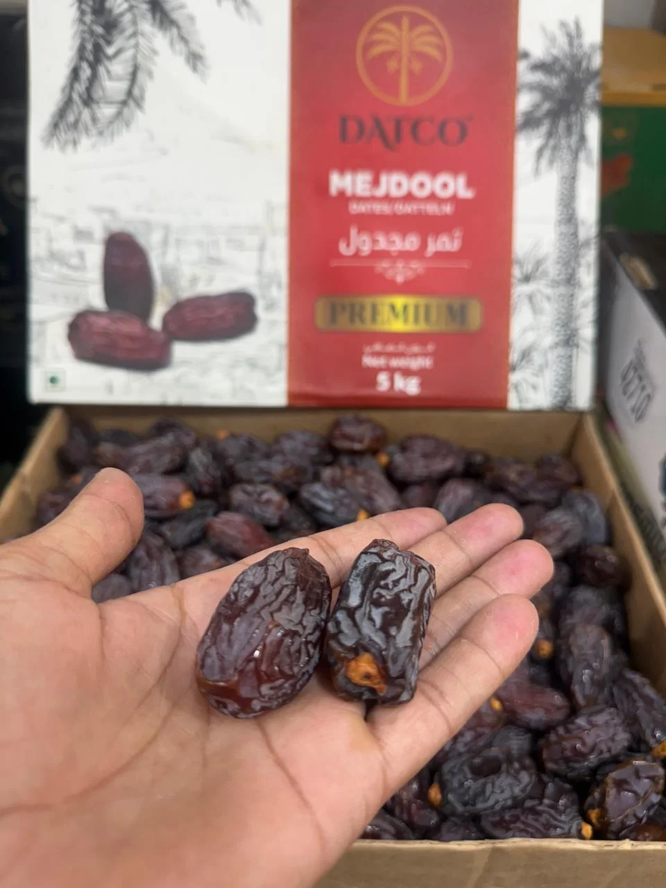 Medium Medjool Dates 5kg Premium Brown Dates