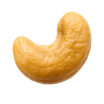 Cashew